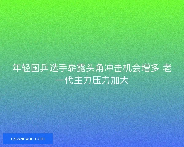 年轻国乒选手崭露头角冲击机会增多 老一代主力压力加大